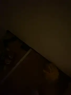 poloniumsex online show from 06/15/26, 04:31