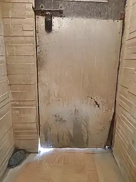 saura545 online show from 04/12/26, 03:00