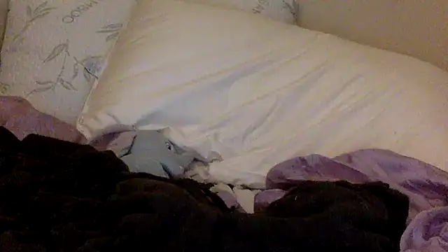 Snapshot of savannabanana chatting on 03/26/26, 03:34 savannabanana online show from 03/26/26, 03:34