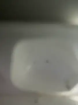 scarlett turner  online show from 04/09/26, 02:33