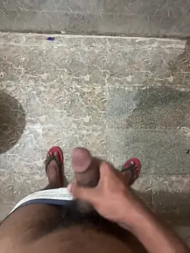 dashingdih online show from 04/15/26, 10:43