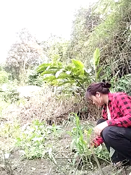 Snapshot of Giang-mylove chatting on 04/04/26, 02:32 Giang-mylove online show from 04/04/26, 02:32