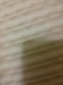 SteedyGee online show from 04/15/26, 08:31