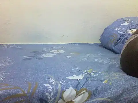 Snapshot of chauke2345 chatting on 04/11/26, 11:47 chauke2345 online show from 04/11/26, 11:47