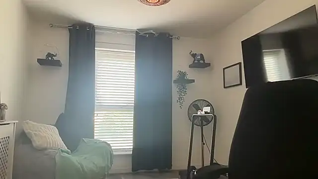 DaveRoyale online show from 04/12/26, 12:10