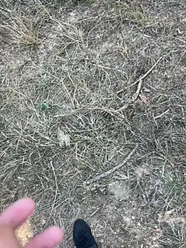 Snapshot of yingzi003 chatting on 04/07/26, 07:42 yingzi003 online show from 04/07/26, 07:42