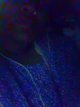 riyaa sexyy online show from 05/07/26, 02:17