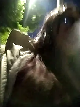 martina 7 online show from 04/11/26, 11:31