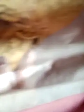 -Bianmi- online show from 04/05/26, 02:20