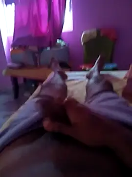 tappu0991 online show from 04/03/26, 12:52