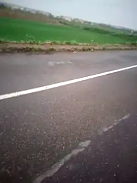 alicancetin11 online show from 04/02/26, 08:23