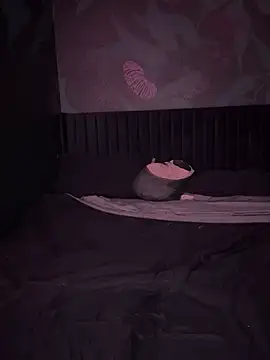 VERALONGG online show from 04/03/26, 06:22