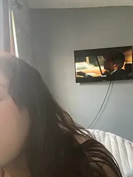 panini2606 online show from 04/11/26, 11:42