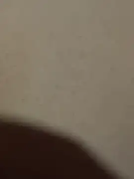 Mr beast 09 online show from 06/22/26, 04:42