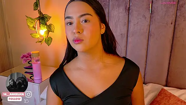 Snapshot of angelicaa_garcia chatting on 04/09/26, 11:48 angelicaa garcia online show from 04/09/26, 11:48