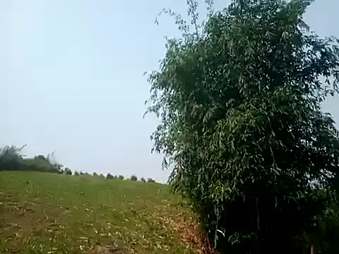 Snapshot of jikey-bibi chatting on 04/13/26, 02:17 jikey-bibi online show from 04/13/26, 02:17