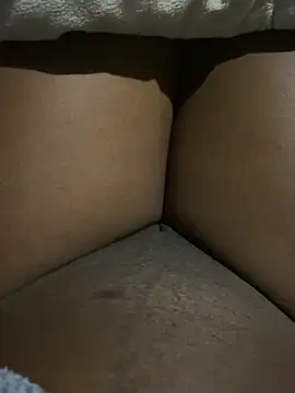 2nico online show from 04/09/26, 07:41