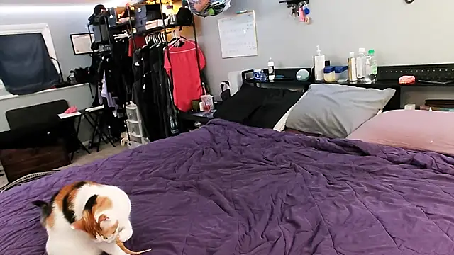 Snapshot of PolyCircus chatting on 04/12/26, 04:06 PolyCircus online show from 04/12/26, 04:06