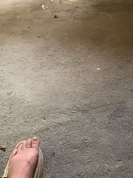 candy-beo online show from 04/15/26, 05:25