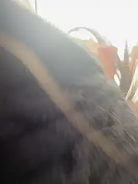 Snapshot of AlmaSajor_ chatting on 04/14/26, 01:17 AlmaSajor online show from 04/14/26, 01:17