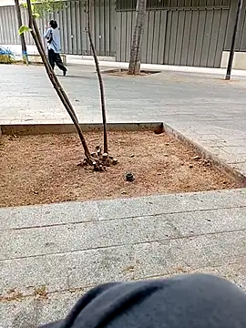 biga00 online show from 04/11/26, 03:38