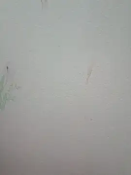Luckyy29 online show from 06/13/26, 05:05