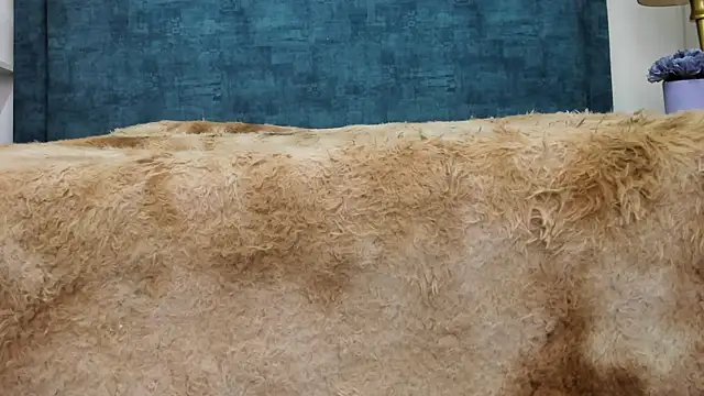 Snapshot of IsadoraVex chatting on 04/14/26, 12:44 IsadoraVex online show from 04/14/26, 12:44