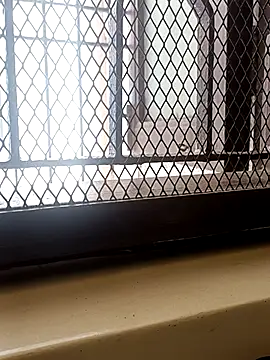 billboyhoney online show from 04/08/26, 08:36