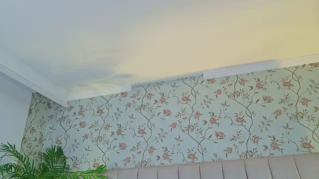 VegaSara online show from 04/15/26, 08:20