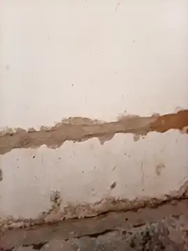 Nkazimulz online show from 04/09/26, 01:27