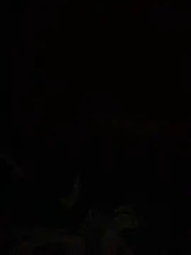  sexysin online show from 06/05/26, 12:11