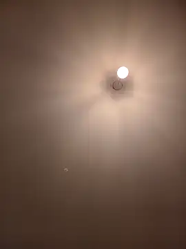 Dietosca online show from 04/13/26, 02:28