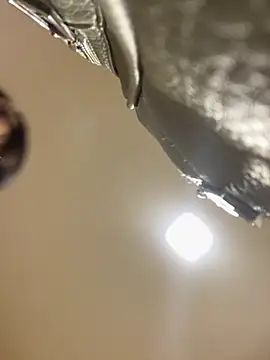 Selene  Ferrer online show from 04/16/26, 01:56