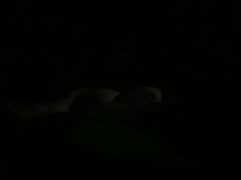 hunglikemeee online show from 04/16/26, 01:17