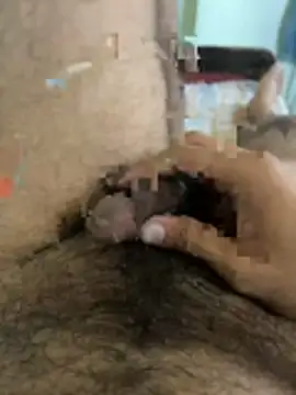 warm milk69 online show from 04/19/26, 04:01