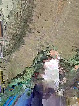 dickforpussyy online show from 04/16/26, 05:52