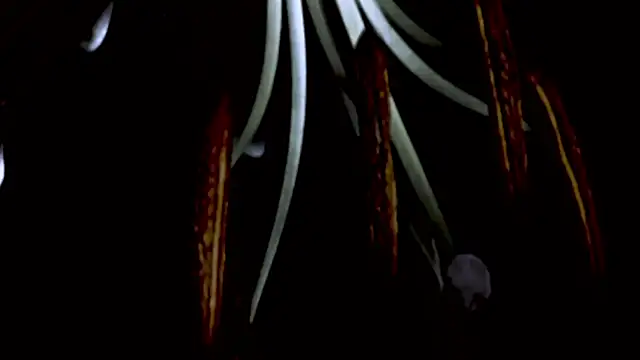 Vandaaethusa online show from 04/16/26, 04:52