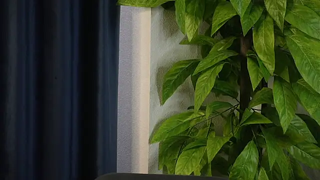 SelmaHjort online show from 04/27/26, 11:52