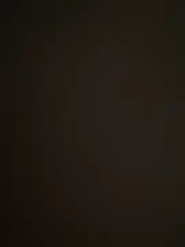 Barloo online show from 12/02/25, 08:48