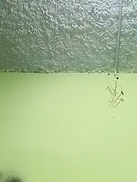 Micaejj online show from 04/21/26, 08:34