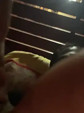 kasperskyy online show from 04/23/26, 10:58