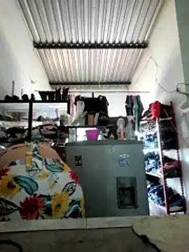 SUUGAR ISABELLA online show from 05/02/26, 08:47