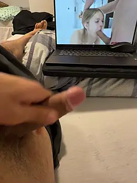Wolf 18cm online show from 05/16/26, 06:07