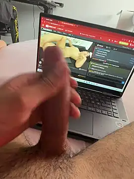 Wolf 18cm online show from 07/05/26, 08:54