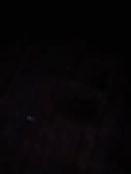 nahs44 online show from 06/15/26, 12:46