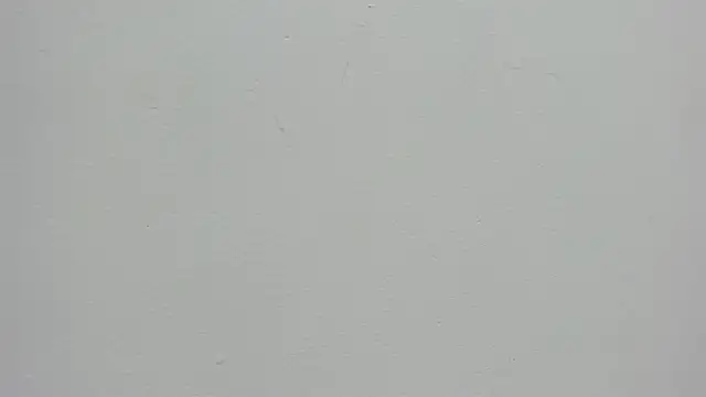 Daphne Leia online show from 05/08/26, 07:08