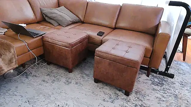 gaydandyboy online show from 05/26/26, 09:33