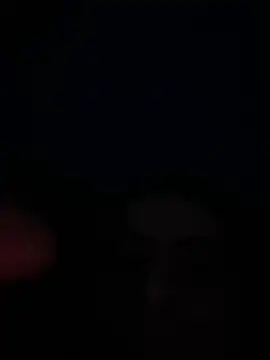 eu marko online show from 04/30/26, 05:08