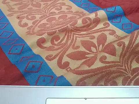 vickyoerhg online show from 05/11/26, 04:37