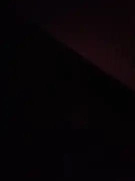 pussysandwitchboy online show from 06/08/26, 05:35